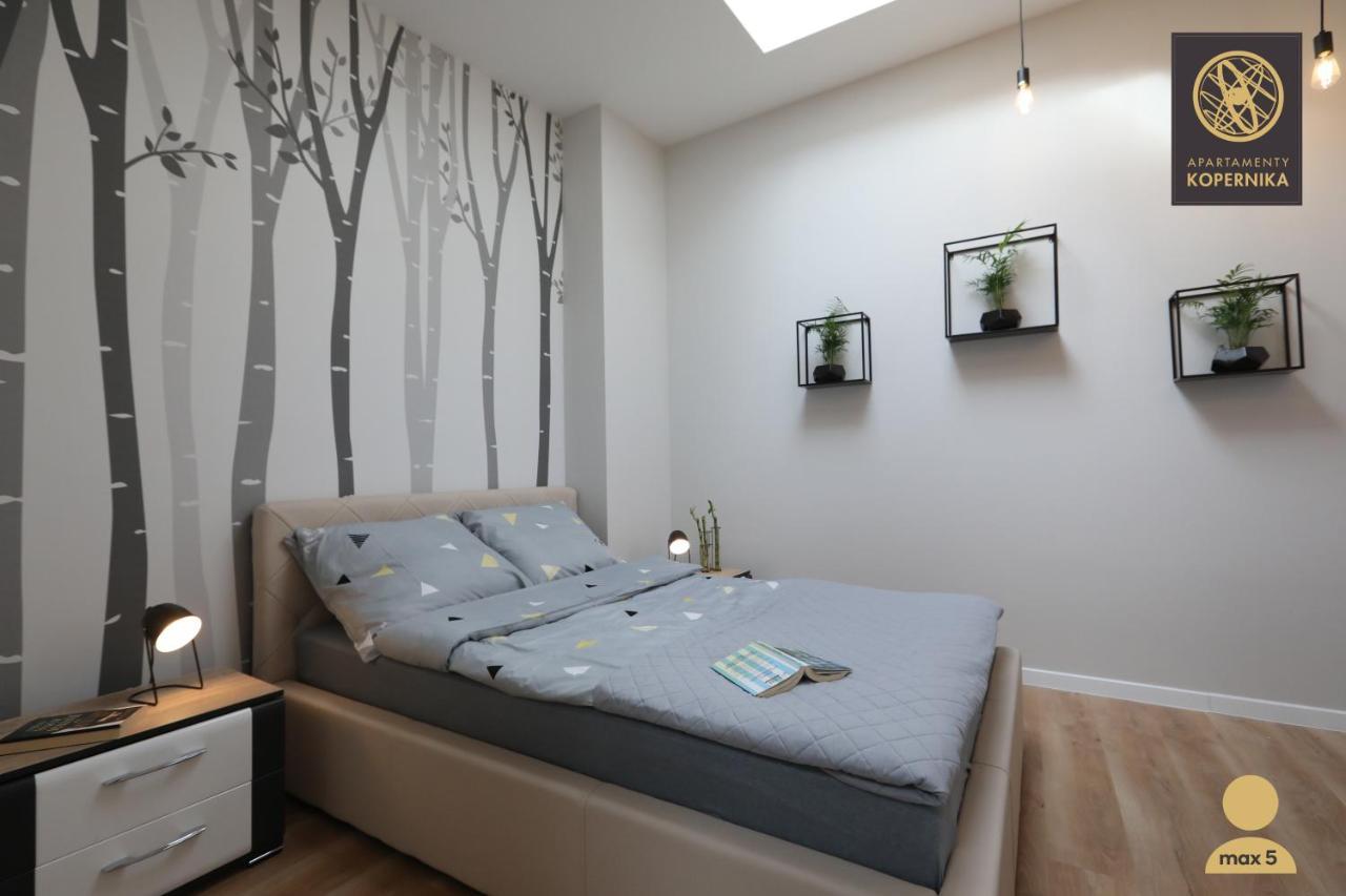 Apartamenty Kopernika ชเตชชิน ภายนอก รูปภาพ